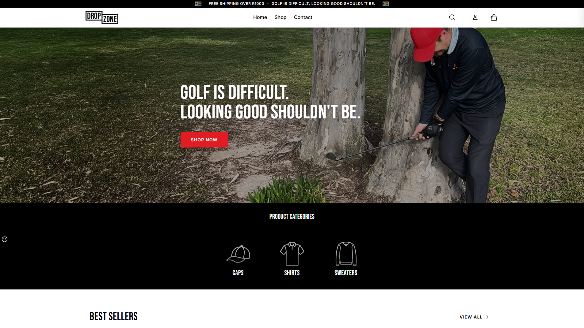 Drop Zone website screenshot